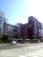 111028_kame01.jpg