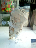 111109_鳩01.jpg