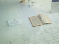 111109_鳩02.jpg