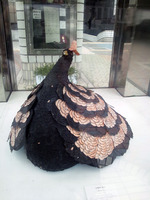 111214_孔雀01.jpg