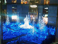 111222_イルミ01.jpg