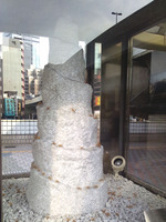120120_アリ01.jpg