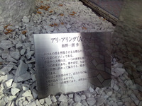 120120_アリ02.jpg