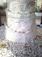 120120_アリ03.jpg