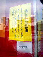 120120_猫02.jpg