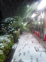 120123_雪03.jpg