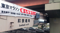 130205歩道橋01.jpg
