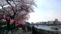 浅草02.jpg
