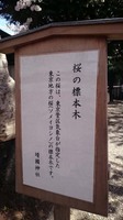 靖国02.jpg