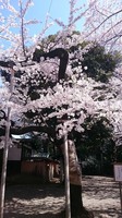 靖国03.jpg