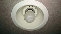 LED_現状.jpg