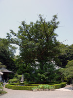 saikoji_02.jpg
